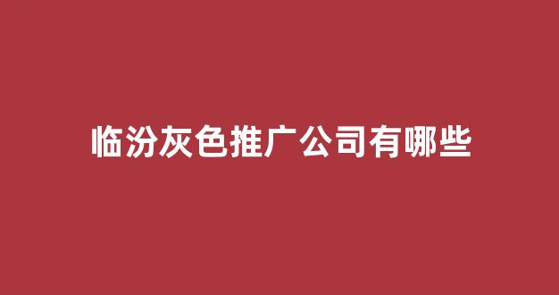 蜘蛛池狗