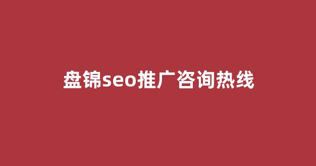 蜘蛛池投入