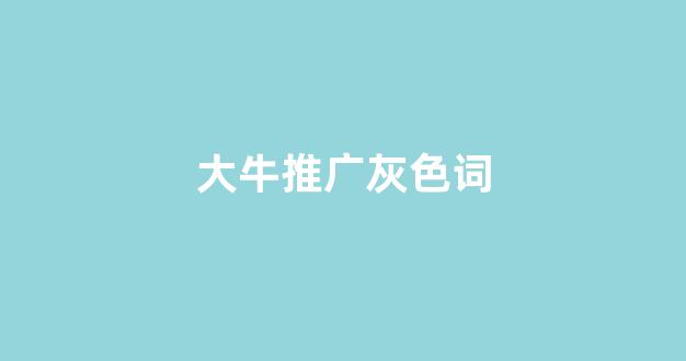 蜘蛛池exe