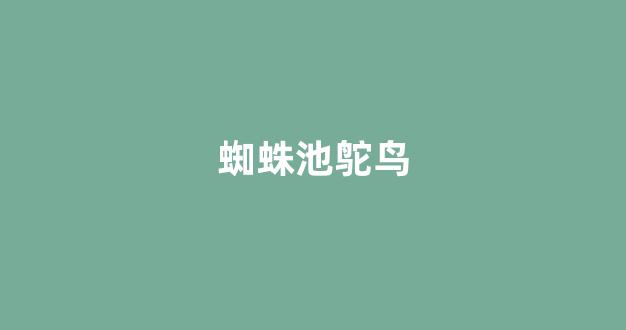 蜘蛛池程序破解版