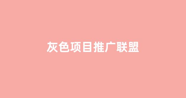 蜘蛛池优化推广引流