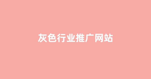 蜘蛛池外链发布