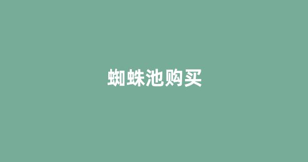 蜘蛛池优化seo公司