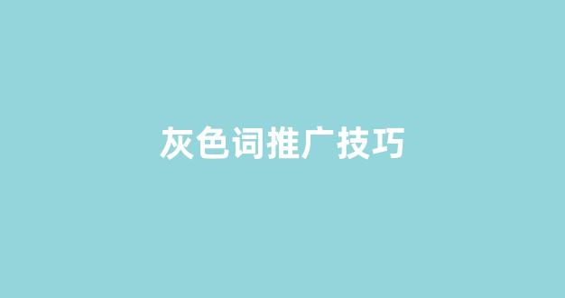 蜘蛛池网页