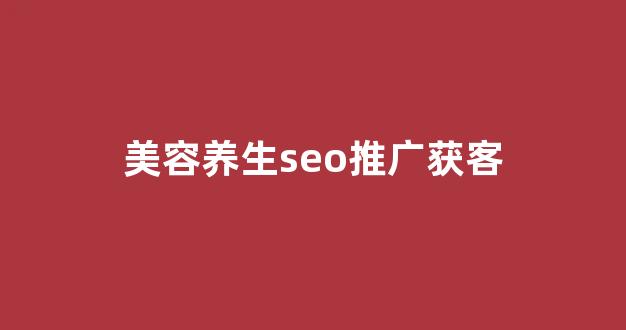 搜索蜘蛛池