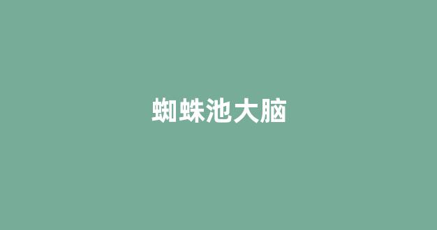 蜘蛛池url