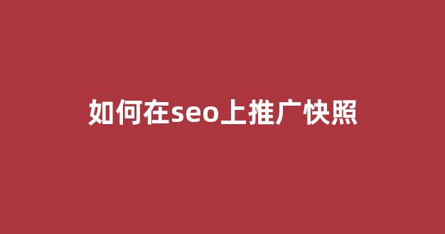 蜘蛛池google