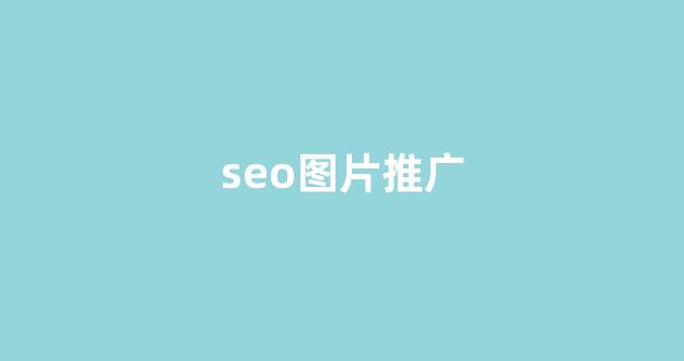 蜘蛛池源码下载