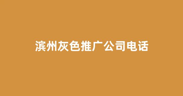 怎样查看蜘蛛池