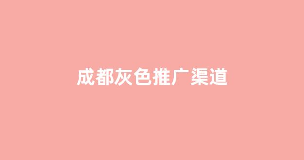 自带蜘蛛池程序