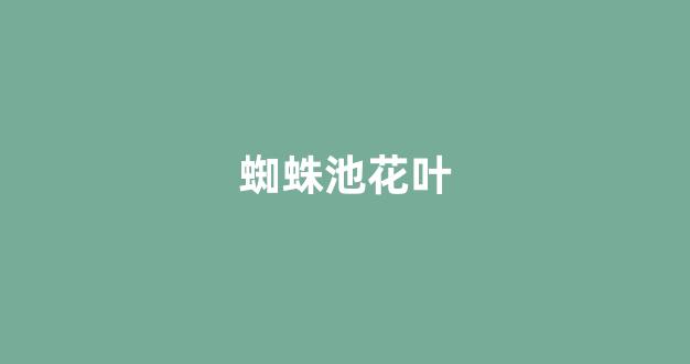 蜘蛛aPP矿池