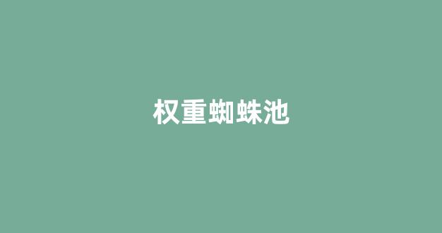 蜘蛛池seo英文