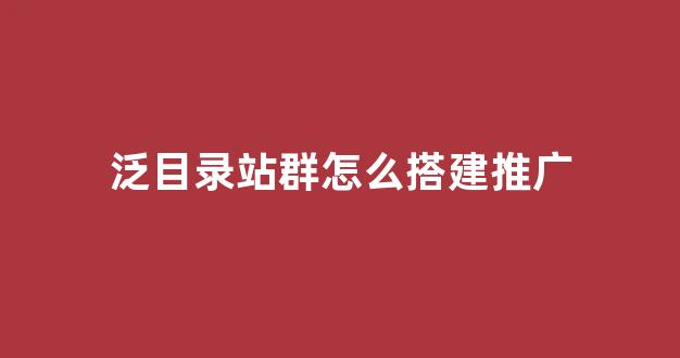 蜘蛛池网源码