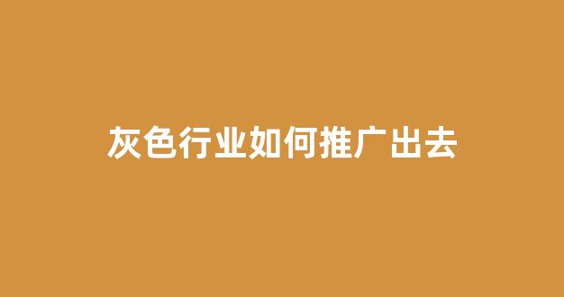 网站seo蜘蛛池