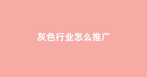 新闻站蜘蛛池