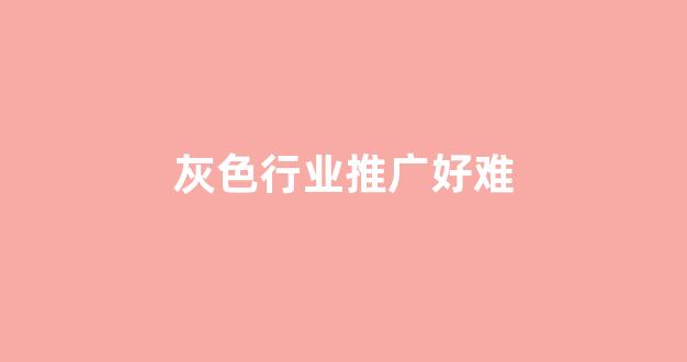 英文蜘蛛池出租