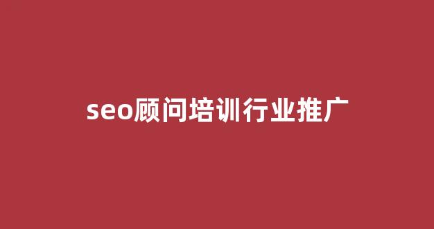 seo蜘蛛池视频