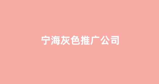 蜘蛛池收录王