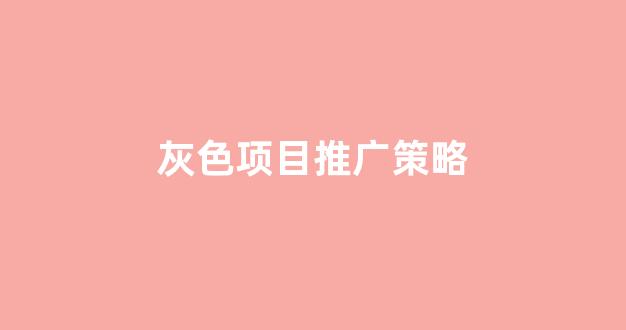 蜘蛛池出租